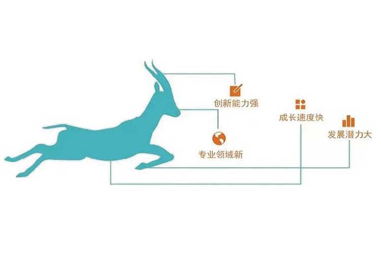 莱恩光电通过2022年度山东省瞪羚企业评审